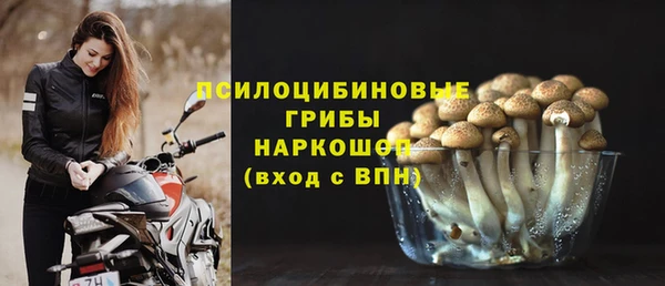 дурь Алзамай