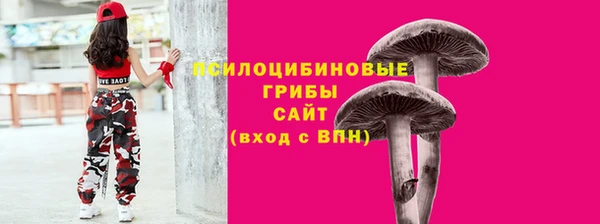 дурь Алзамай