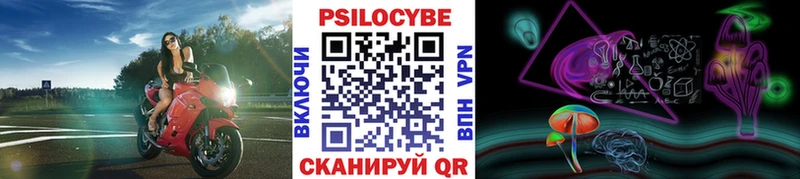 Галлюциногенные грибы MAGIC MUSHROOMS  Мышкин 